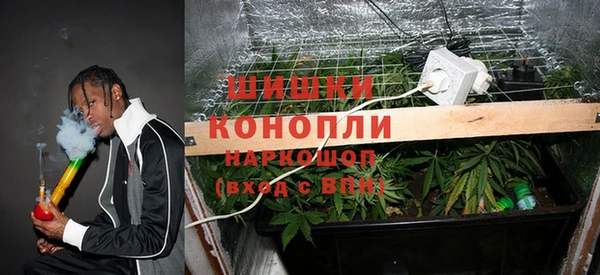 молекула духа Балабаново